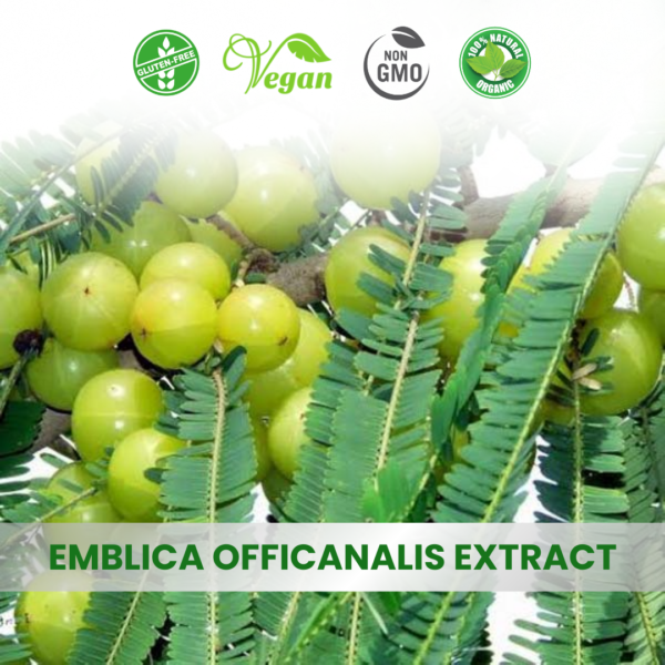 Emblica Officinalis Extract (Amla)
