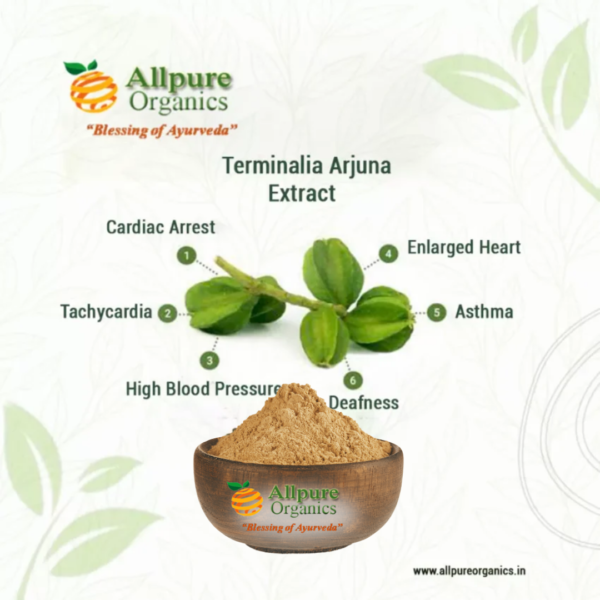 Terminalia Arjuna (Arjuna)