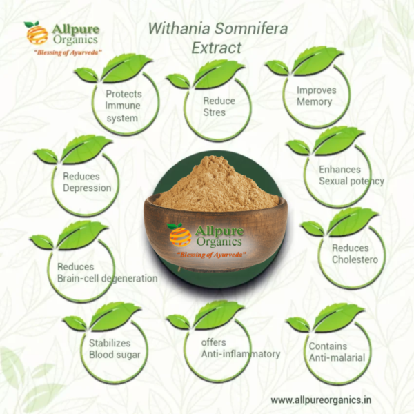 Withania Somnifera Extract