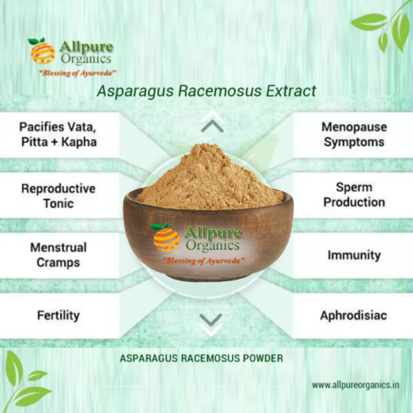 Asparagus Racemosus Extract (Shatavari)