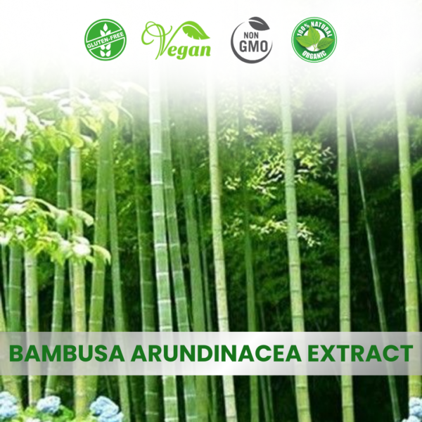 Bambusa Arundinacea Stem Extract