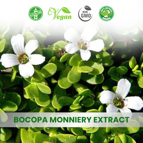 Bacopa Monnieri Extract (Brahmi)