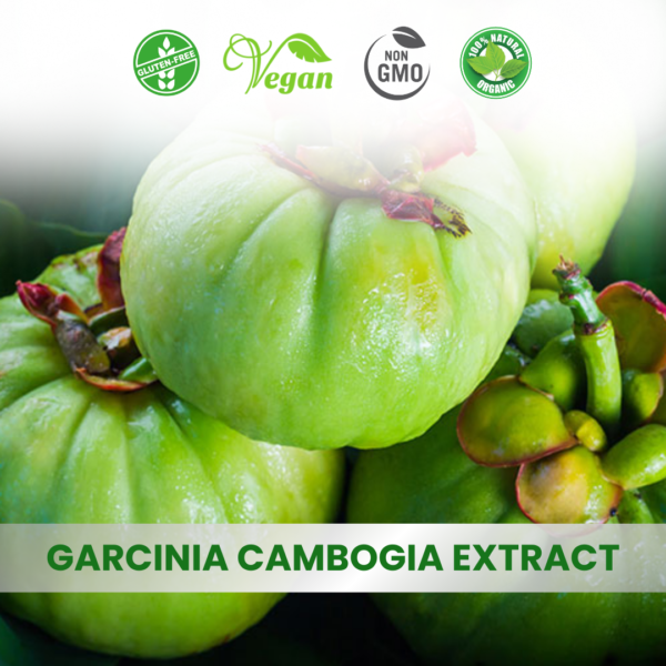 Garcinia Cambogia Extract (Vilayati Imli)