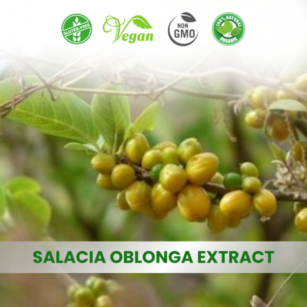 Salacia Oblonga Extract