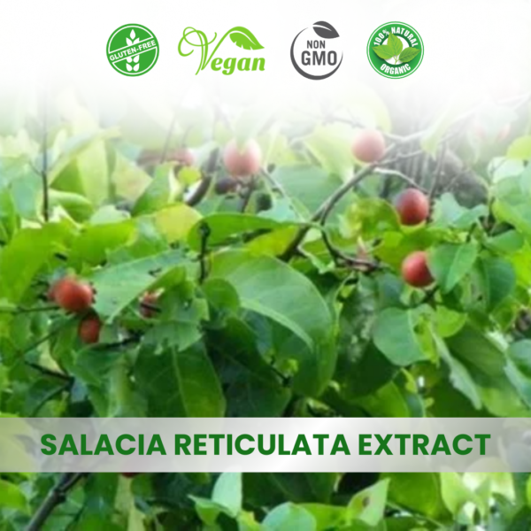 Coleus forskohlii extract