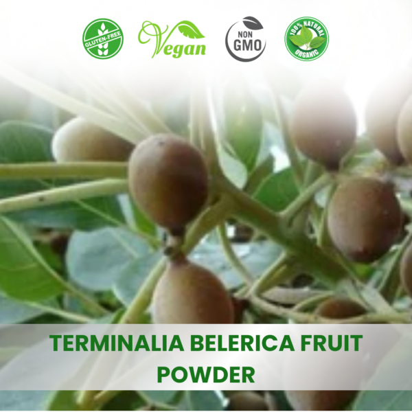Terminalia Bellirica (Bahera) Extracts